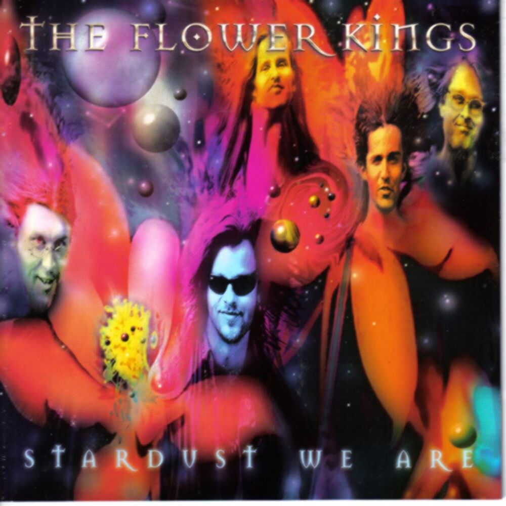 Picture of Stardust We Are