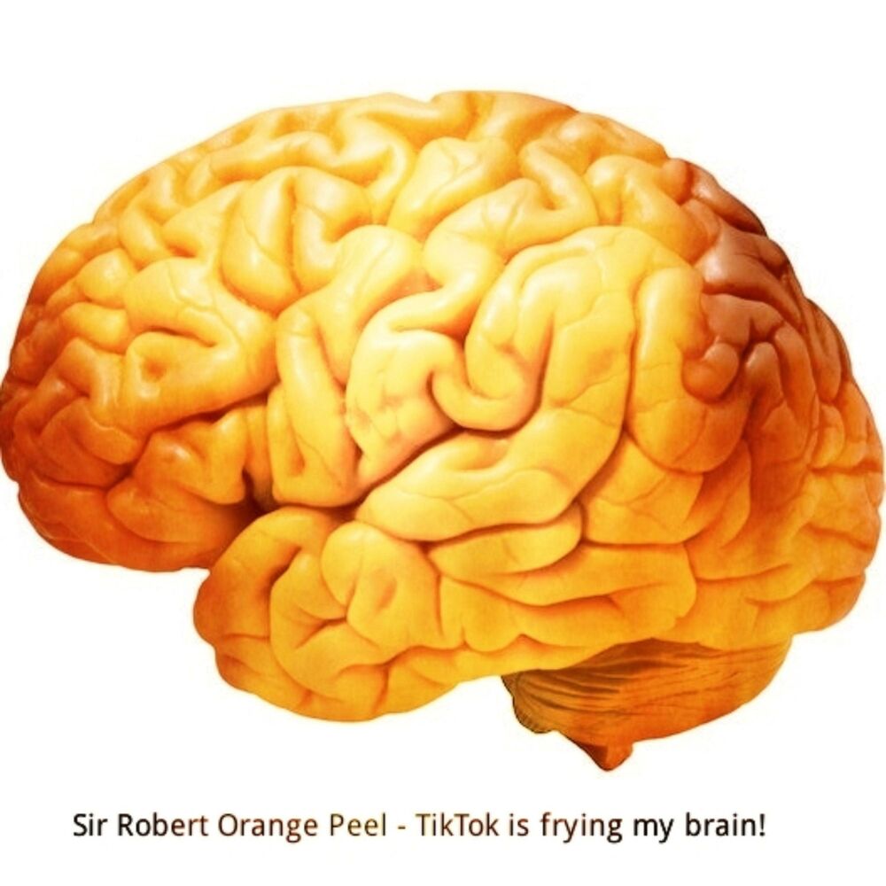 Picture of Frying my brain