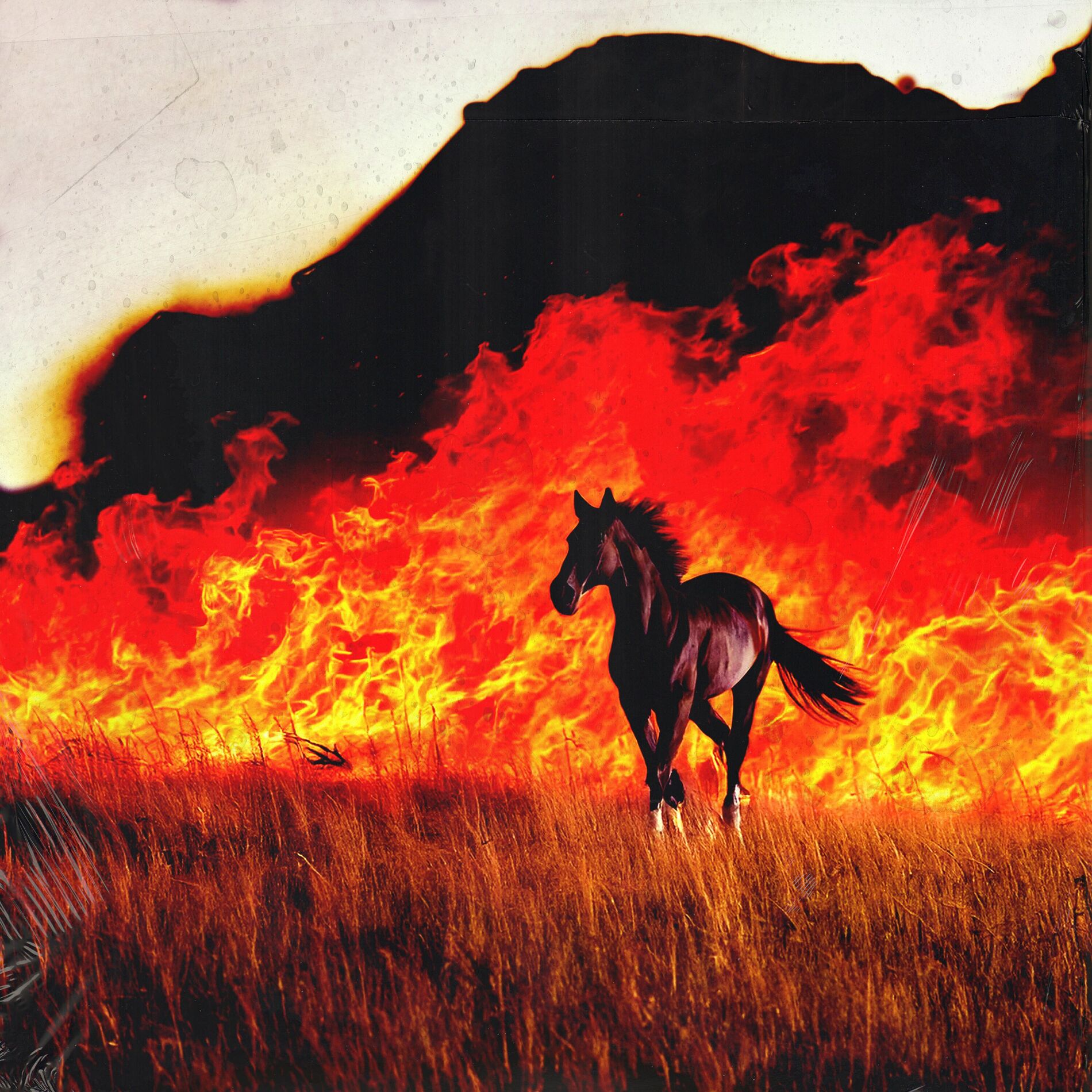 Album cover of On Fire