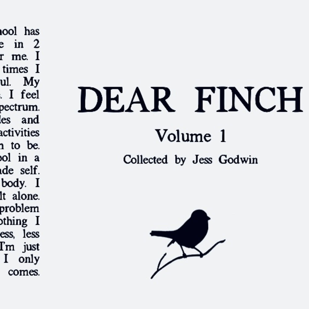 Picture of Dear Finch