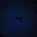 Sky Full of Stars