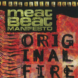 Cover of Original Fire