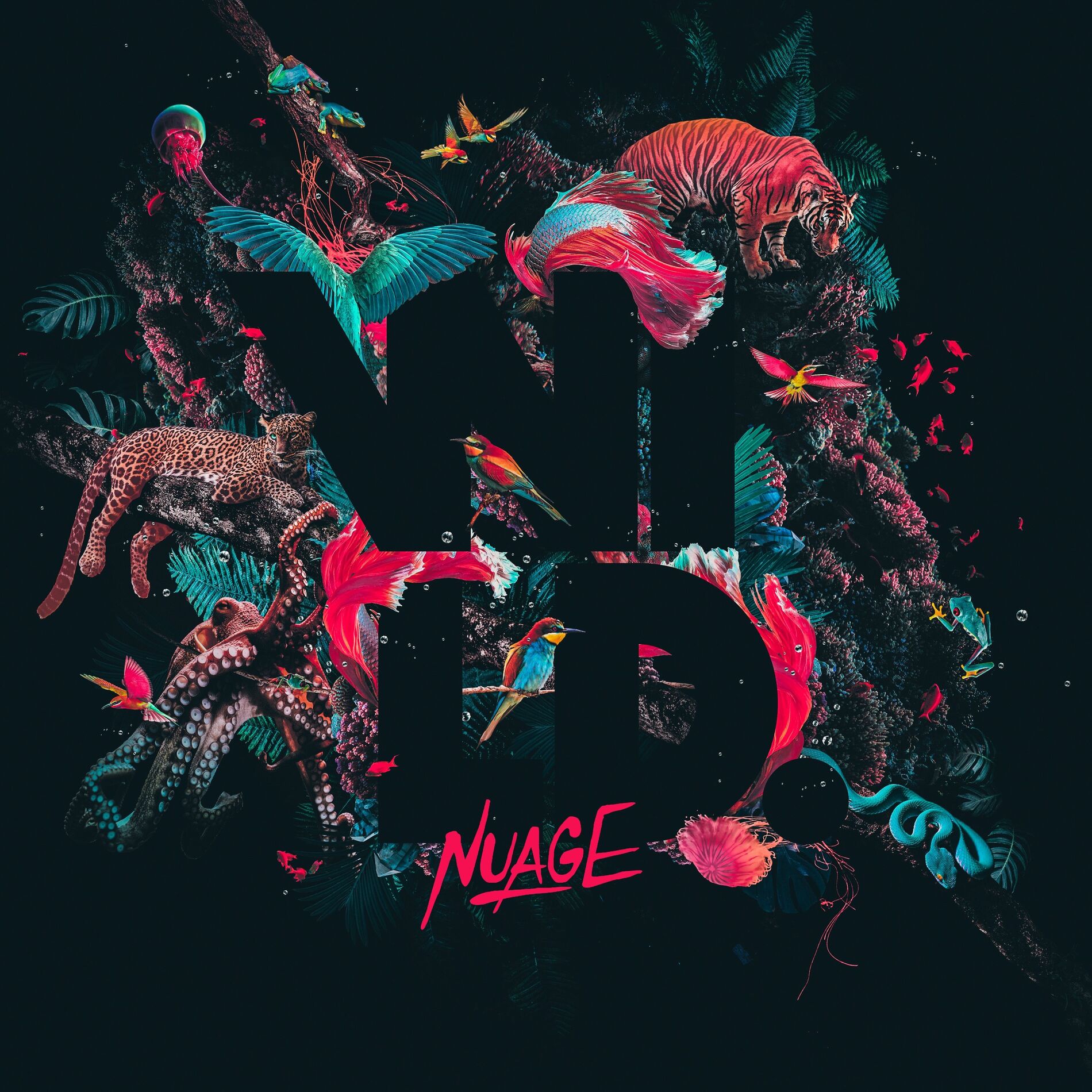 Album cover of Wild