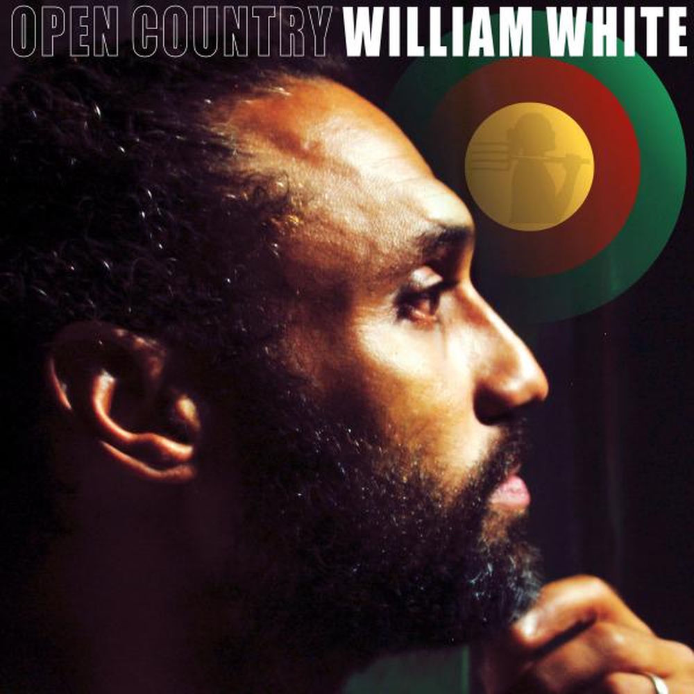 william white net worth - Ilustrasi 3