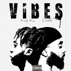 Cover of Vibes