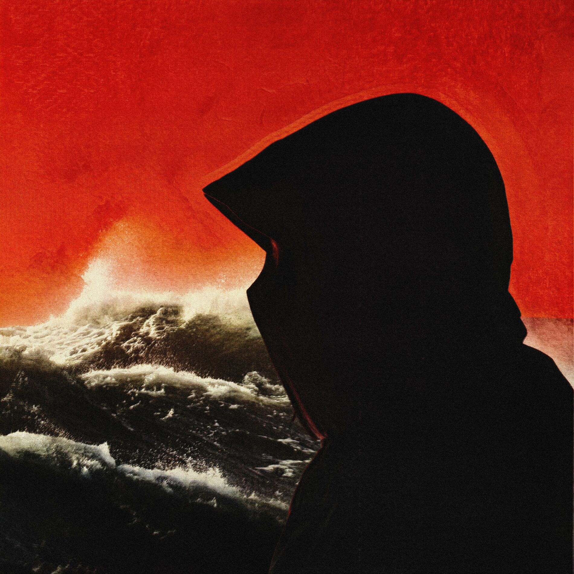 Album cover of ZOO
