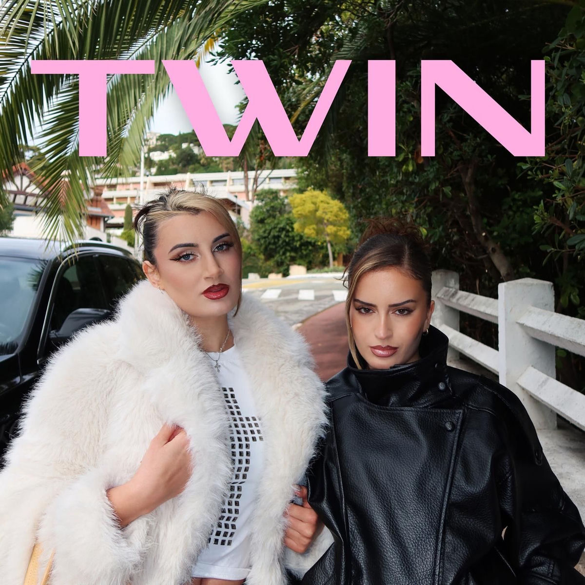 Album cover of TWIN