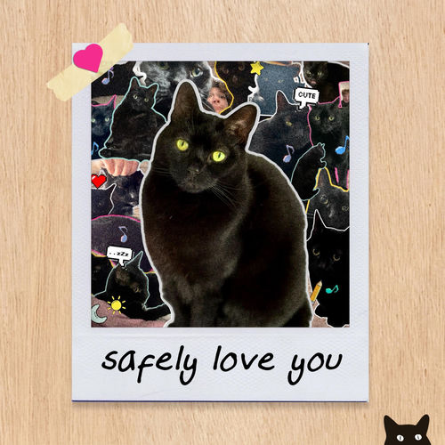Safely Love You