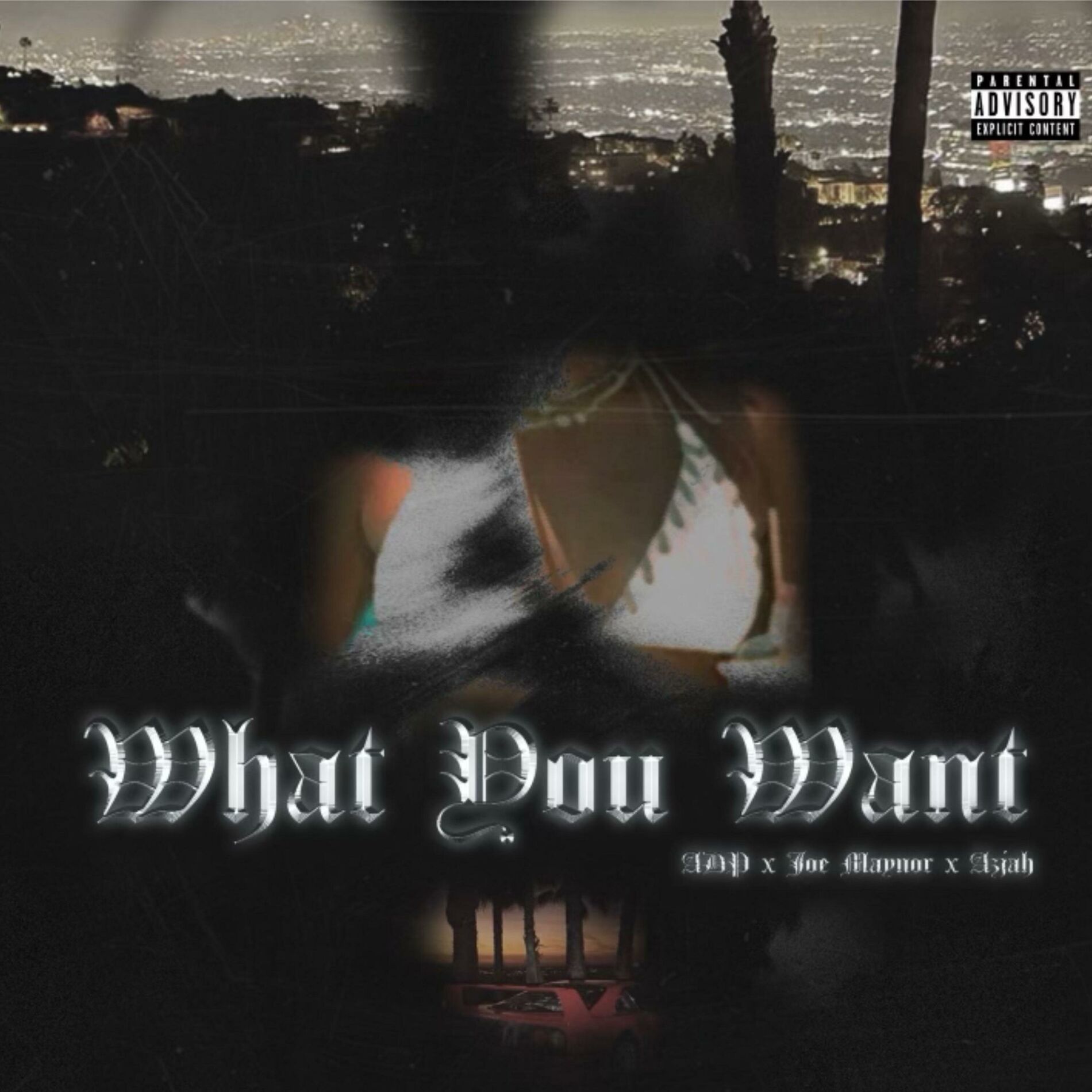 Album cover of What You Want (feat. Joe Maynor & Azjah)
