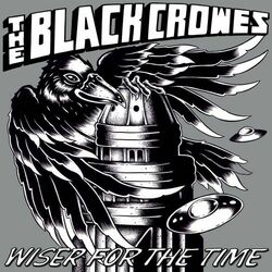 Cover of Wiser for the Time