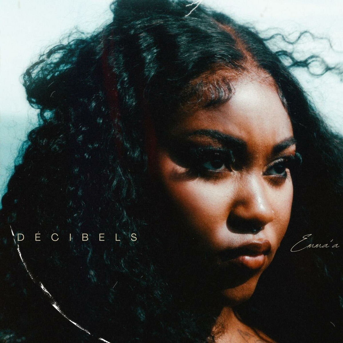 Album cover of Décibels