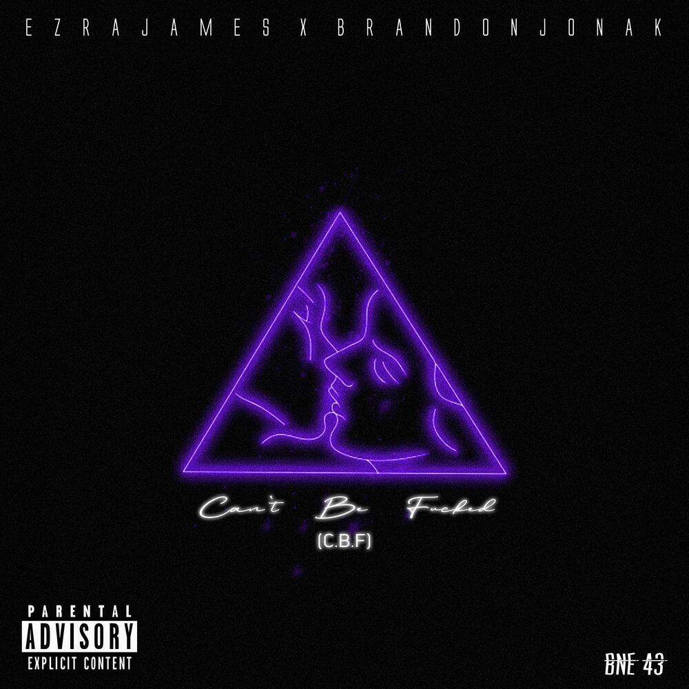 Picture of Can't Be Fucked (C.B.F)