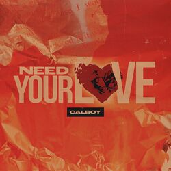 Cover of Need Your Love (Instrumental)
