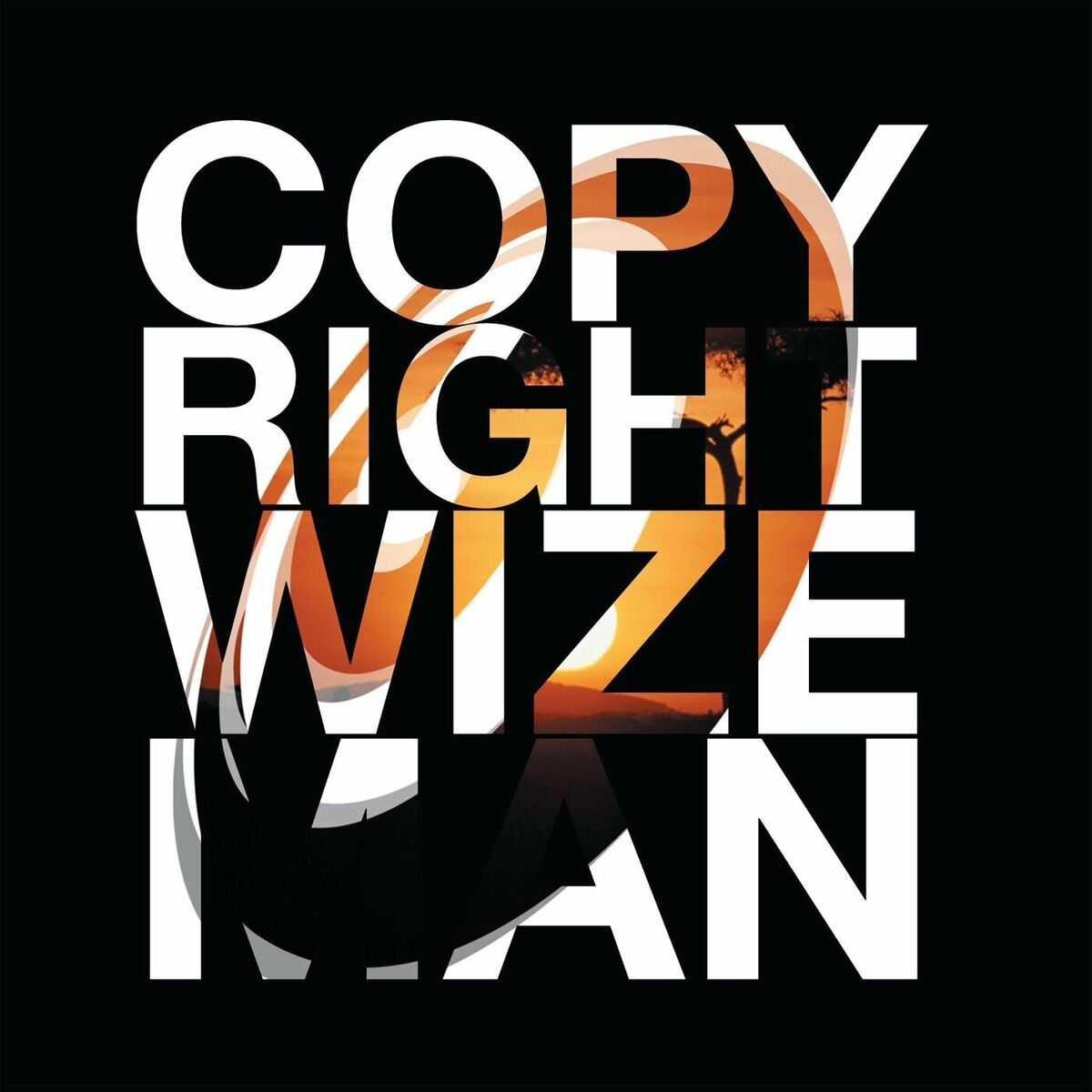 Album cover of Wizeman