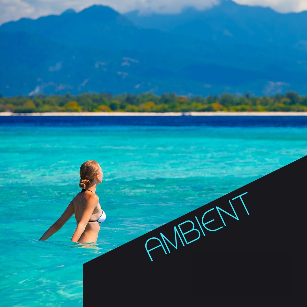 Album cover of Ambient