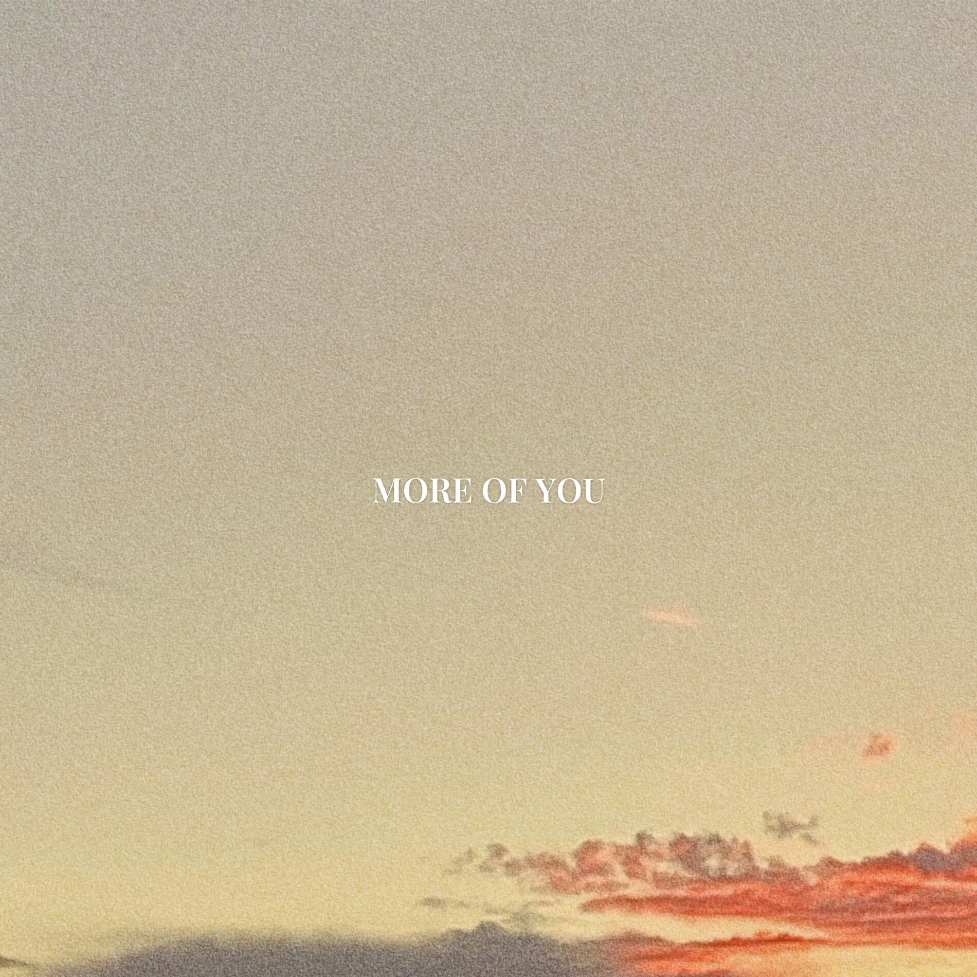 Album cover of more of you