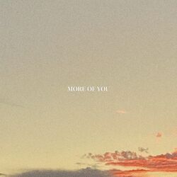 Cover of more of you