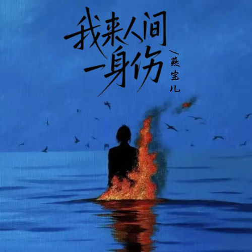 我来人间一身伤