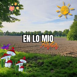 Cover of EN LO MIO (En acústico)