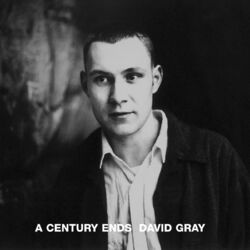 Cover of A Century Ends