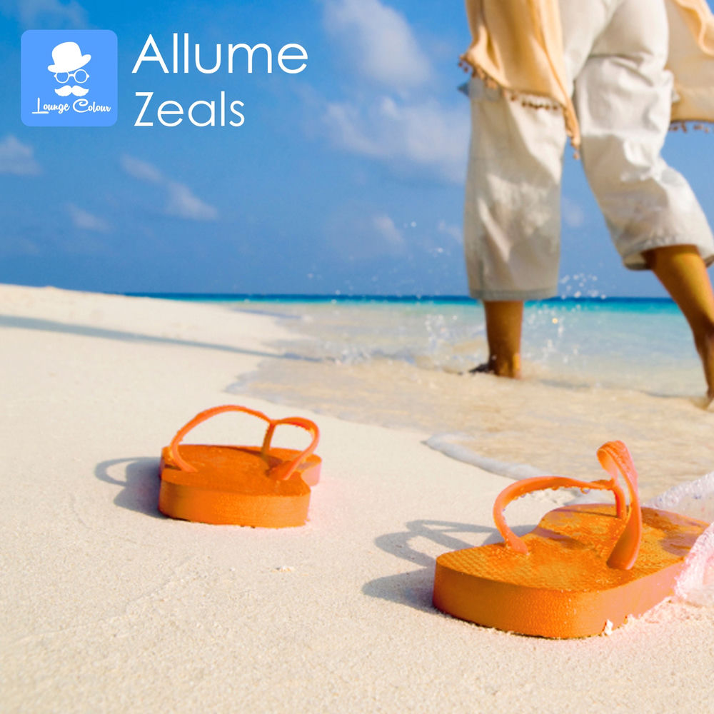 Album artwork for Zeals by Allume