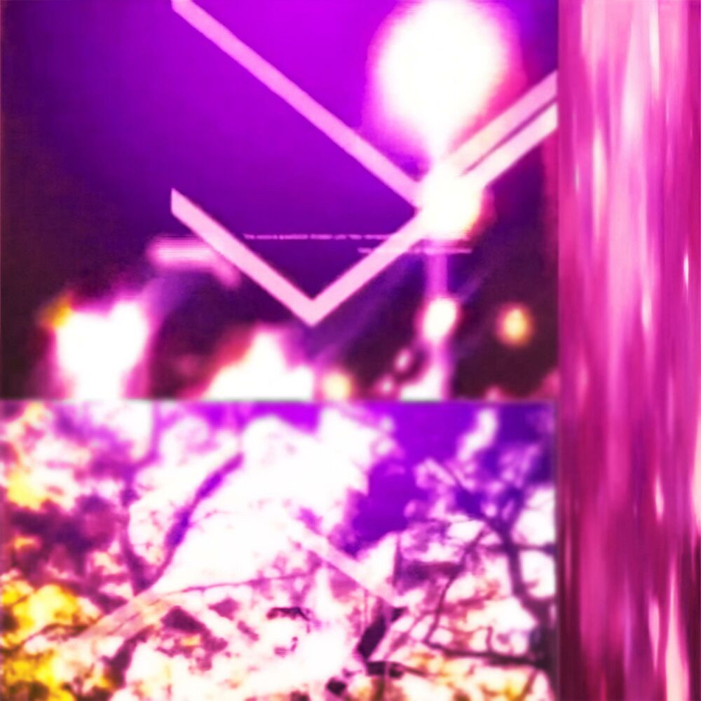 Picture of DX, Vol. 2