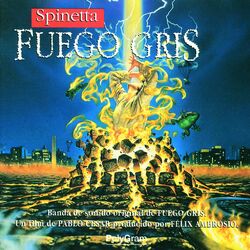 Cover of Fuego Gris