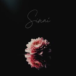 Cover of Sinaí