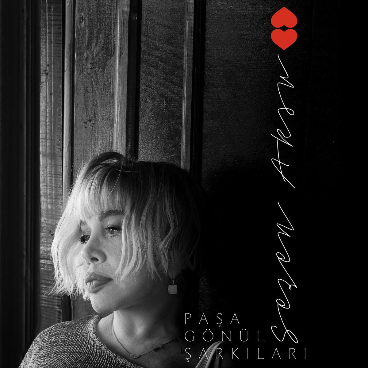 Album cover of Paşa Gönül Şarkıları