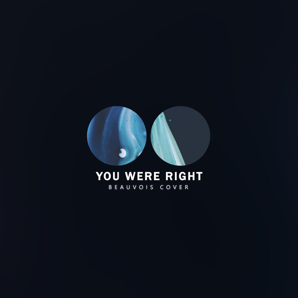 Picture of You Were Right