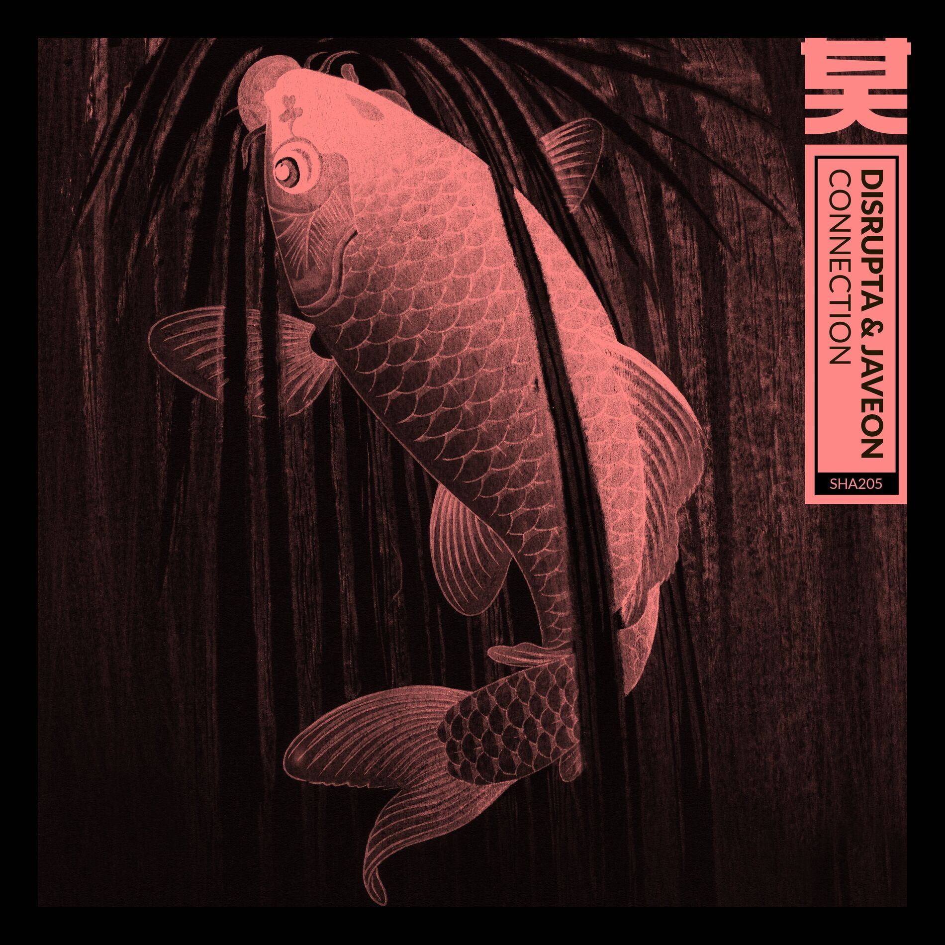 Album cover of Connection