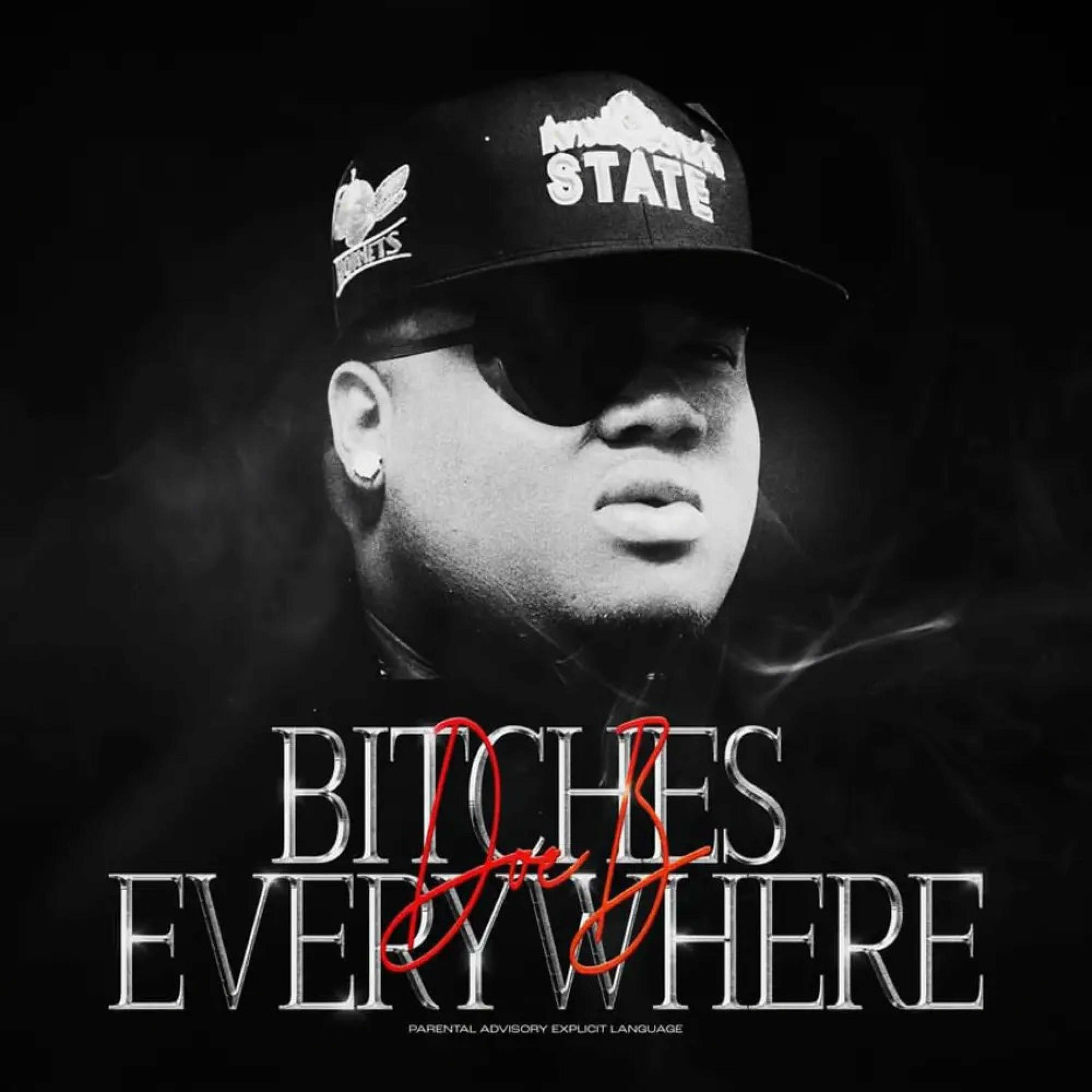 Album cover of Bitches Everywhere