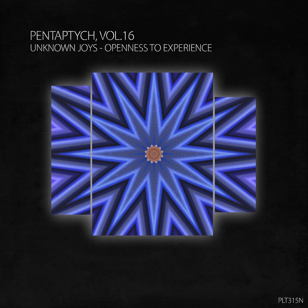 Picture of Openness to Experience (Pentaptych, Vol. 16)