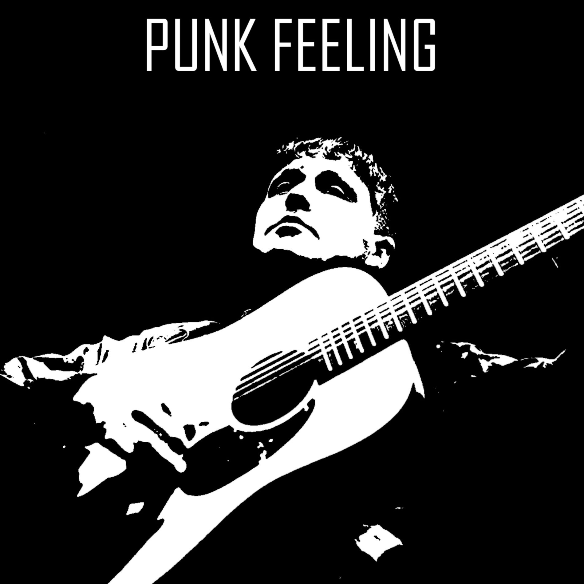Album cover of Punk Feeling