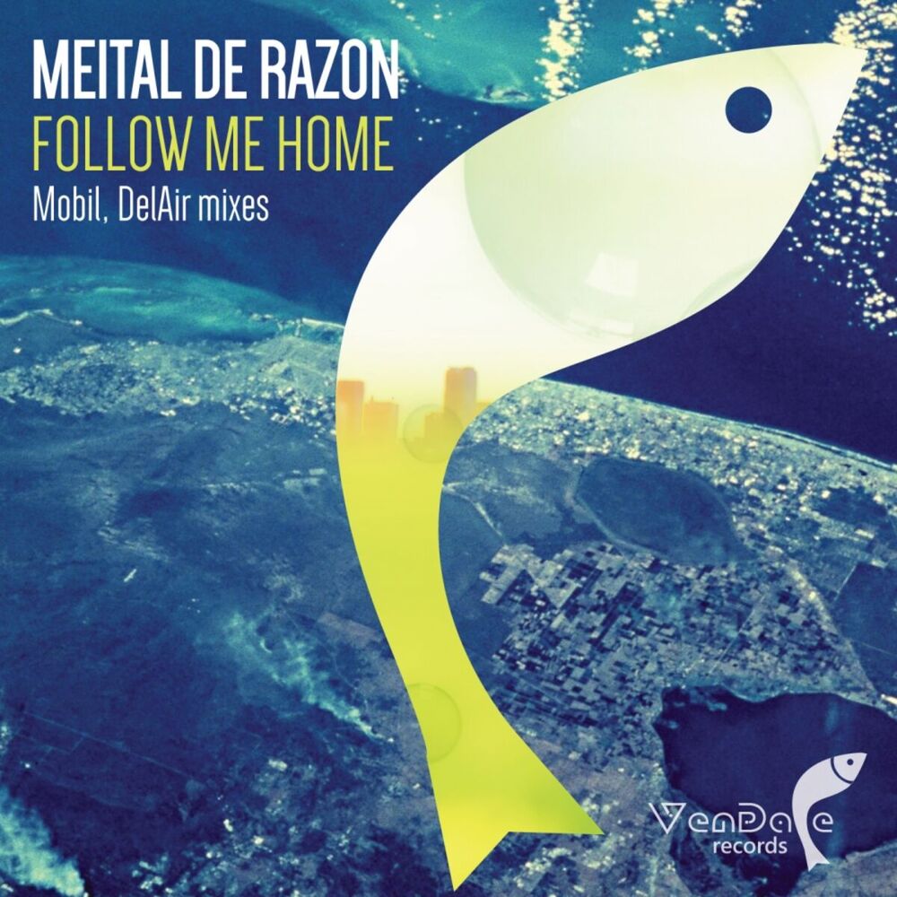 Picture of Follow Me Home (Remixes)
