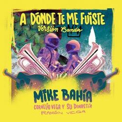 Cover of A Dónde Te Me Fuiste (Versión Banda)