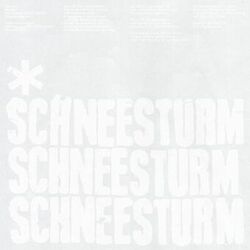 schneesturm