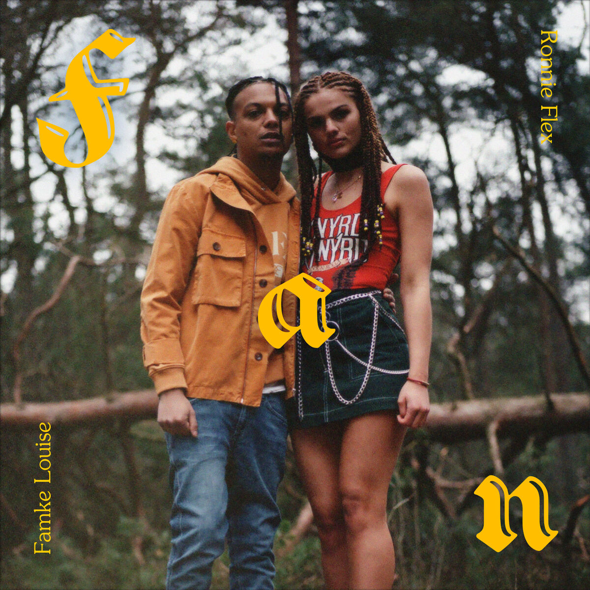 Album cover of Fan