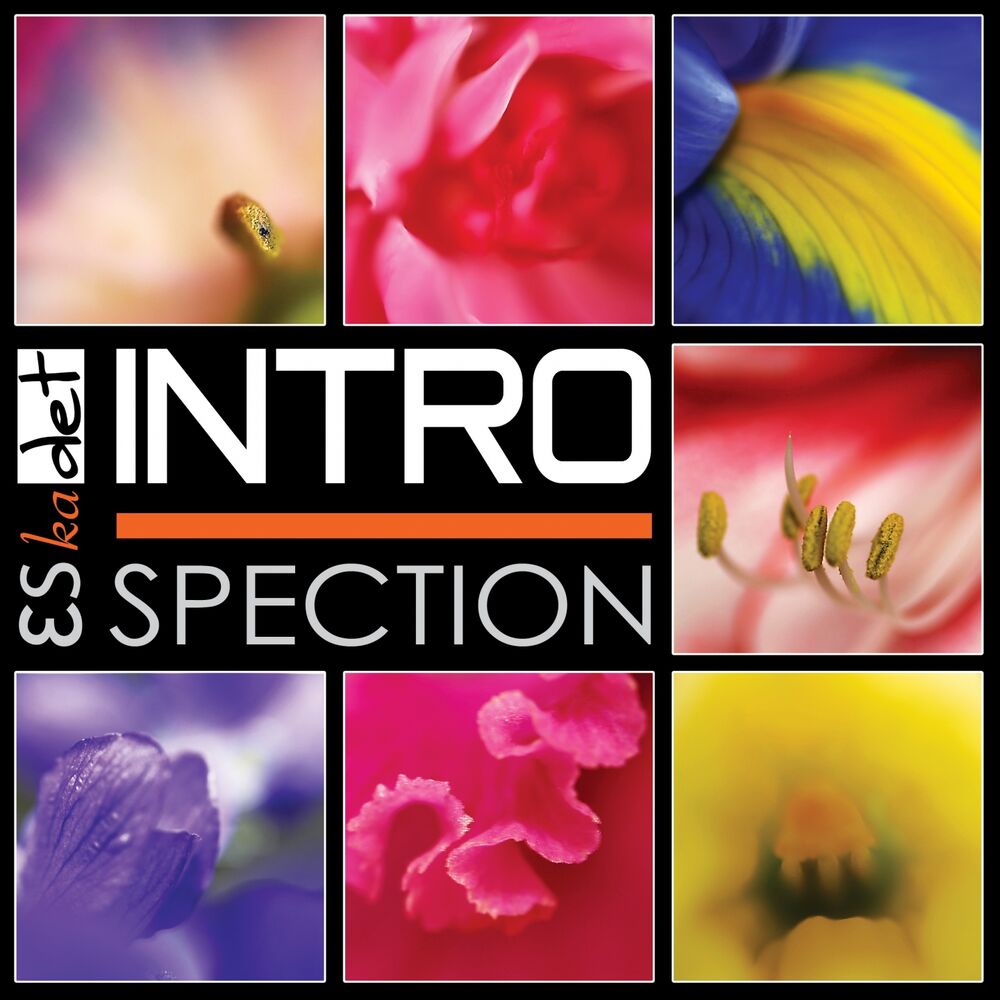 Picture of Introspection