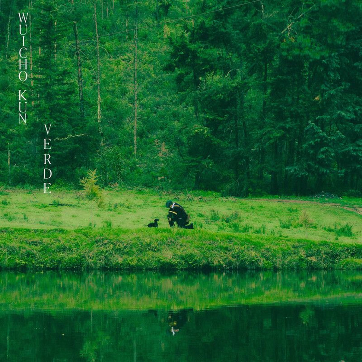 Album cover of Verde