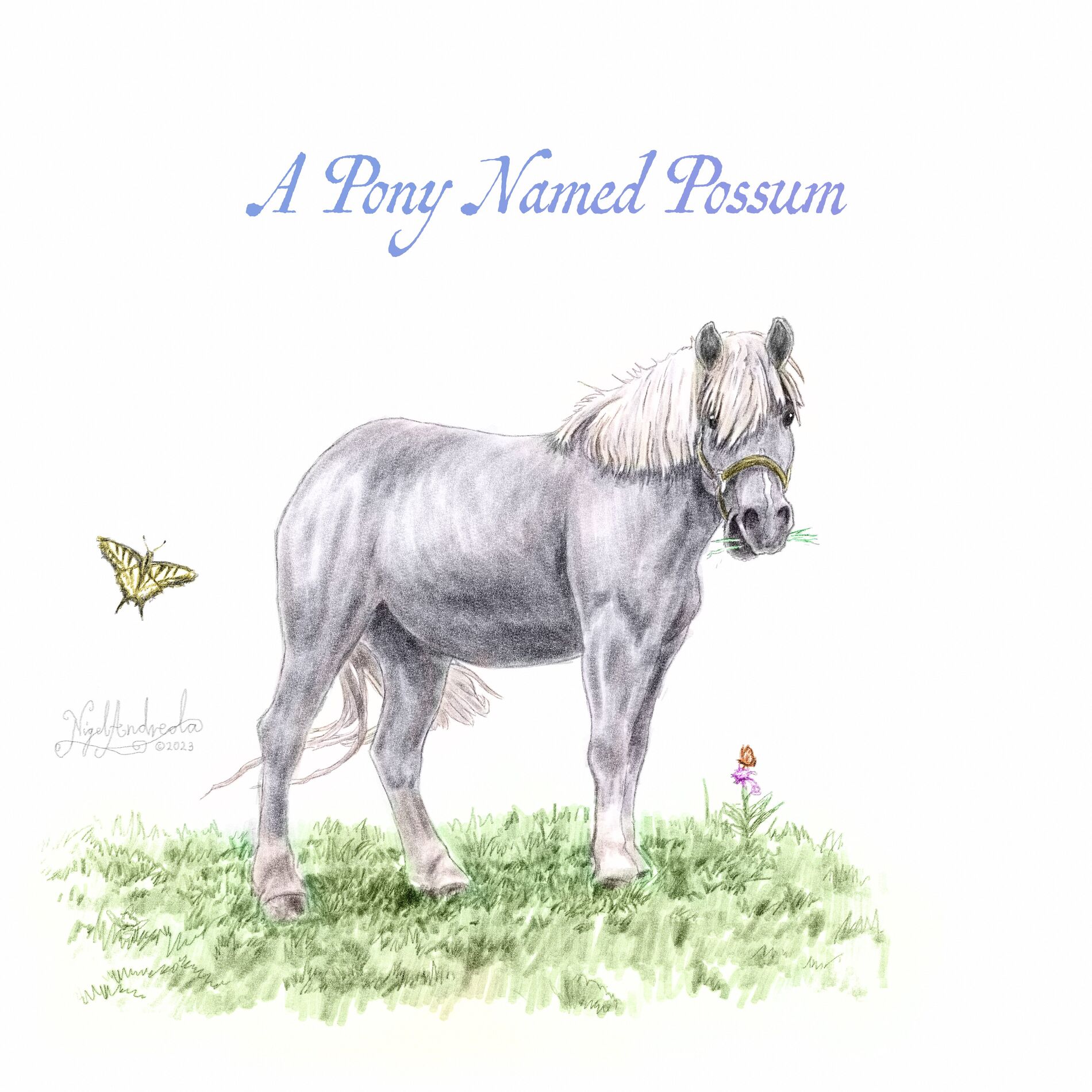 Album cover of A Pony Named Possum