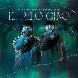 Cover of El Pelo Chino