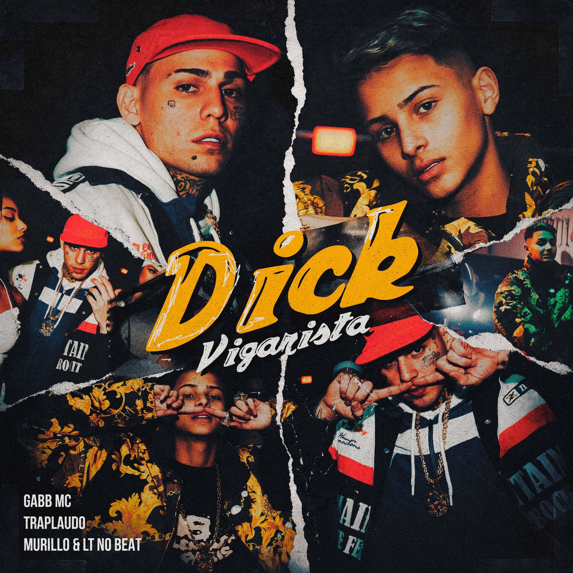 Album cover of Dick Vigarista