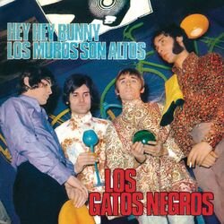 Cover of Hey Hey Bunny (Remasterizado 2021)