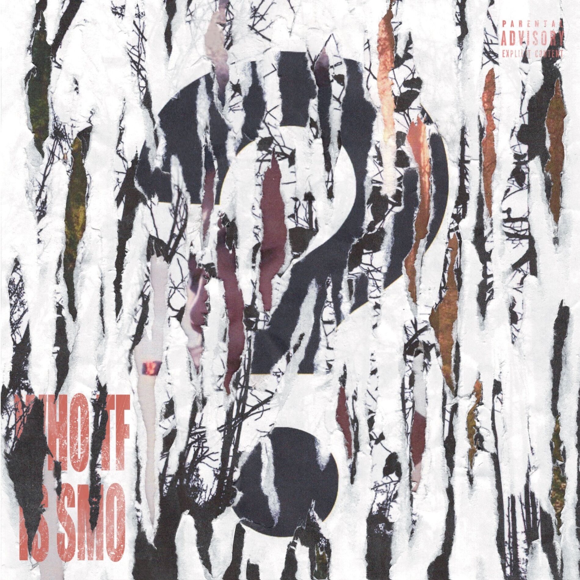 Album cover of WHO TF IS SMO