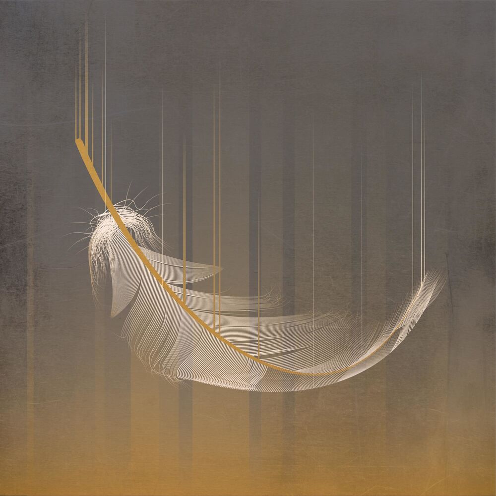 Picture of Float