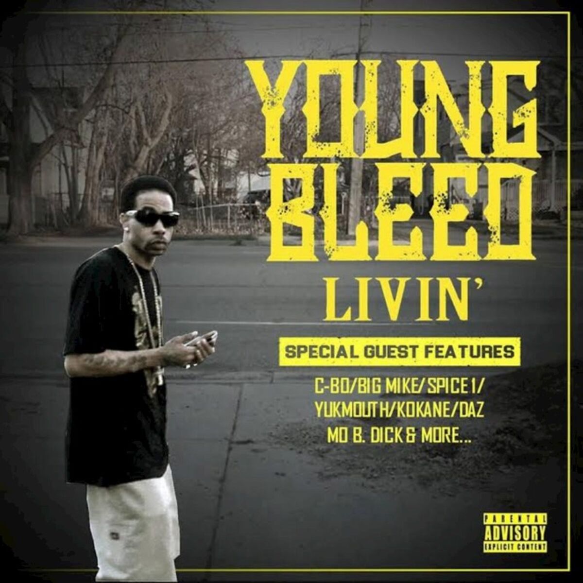 Album cover of LIVIN'
