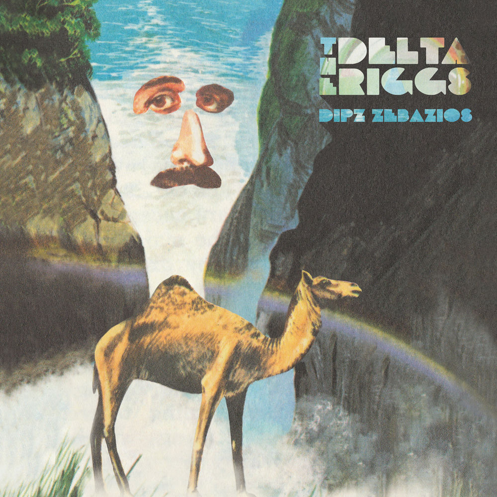 Album artwork for No Friends by The Delta Riggs