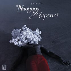 Cover of Naogopa Mapenzi