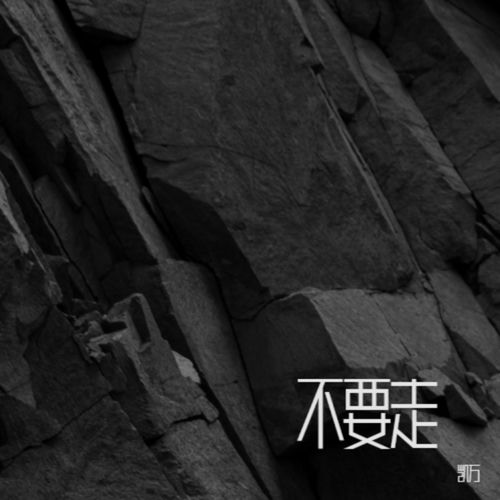 不要走